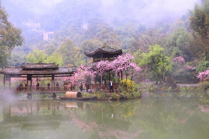 机智问答网页-智慧答案尽在蒸馒头多长时间能蒸熟